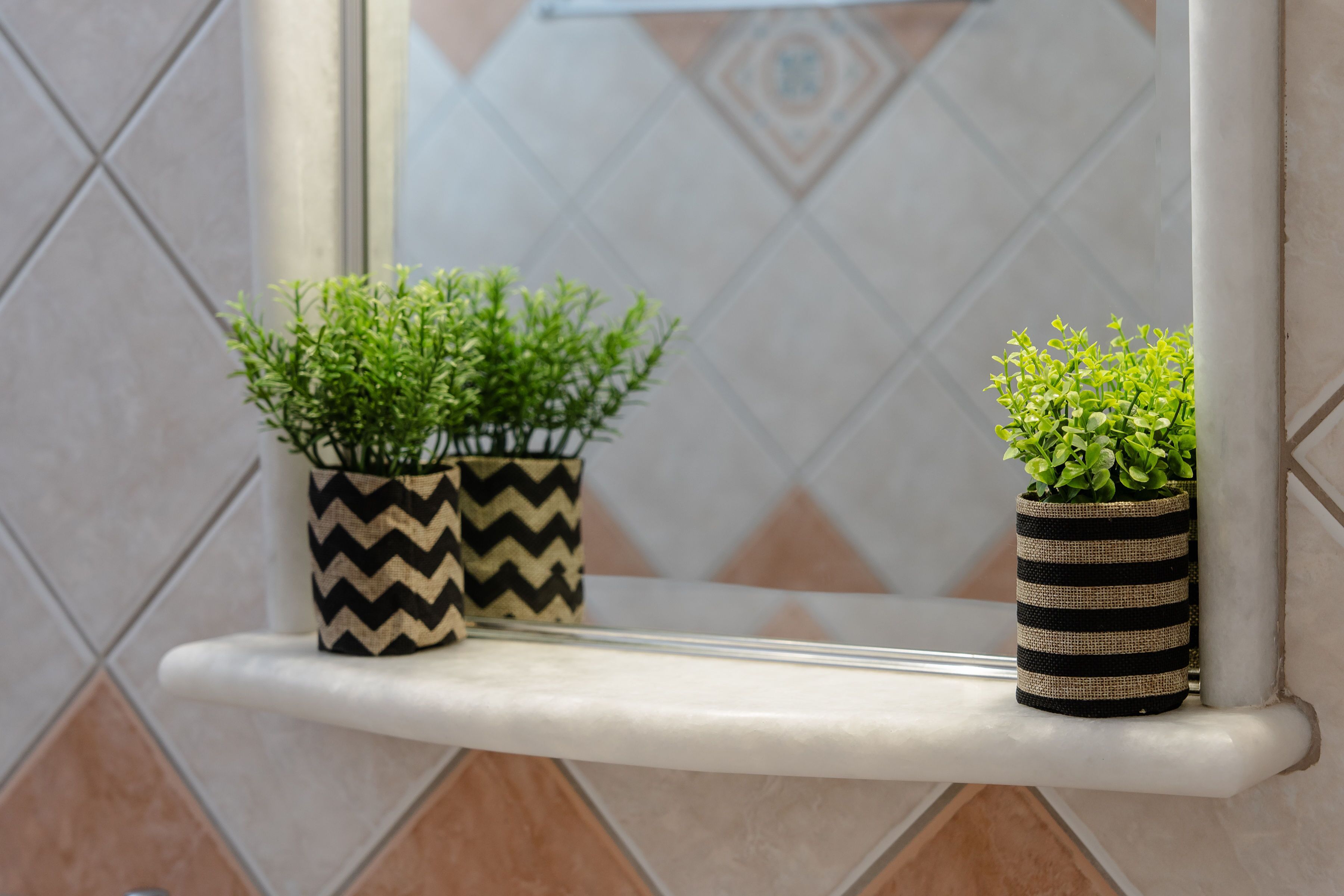 Two potted plants on a white shelf against a tiled wall.