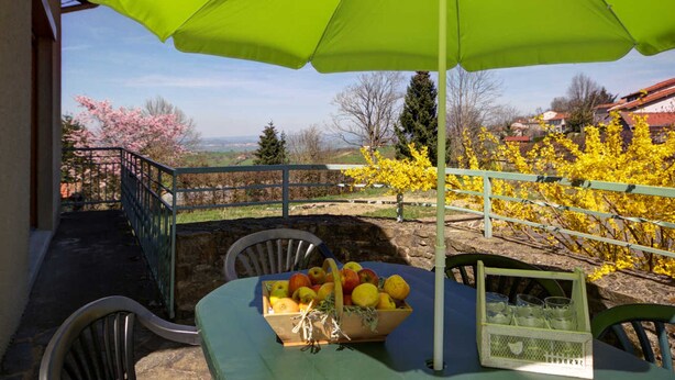 A patio with a table set for dining, an umbrella, and a view of a vineyard with yellow flowering trees.