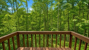 A wooden deck with a view of a dense forest.