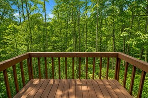 Une terrasse en bois offrant une vue sur une forêt dense.