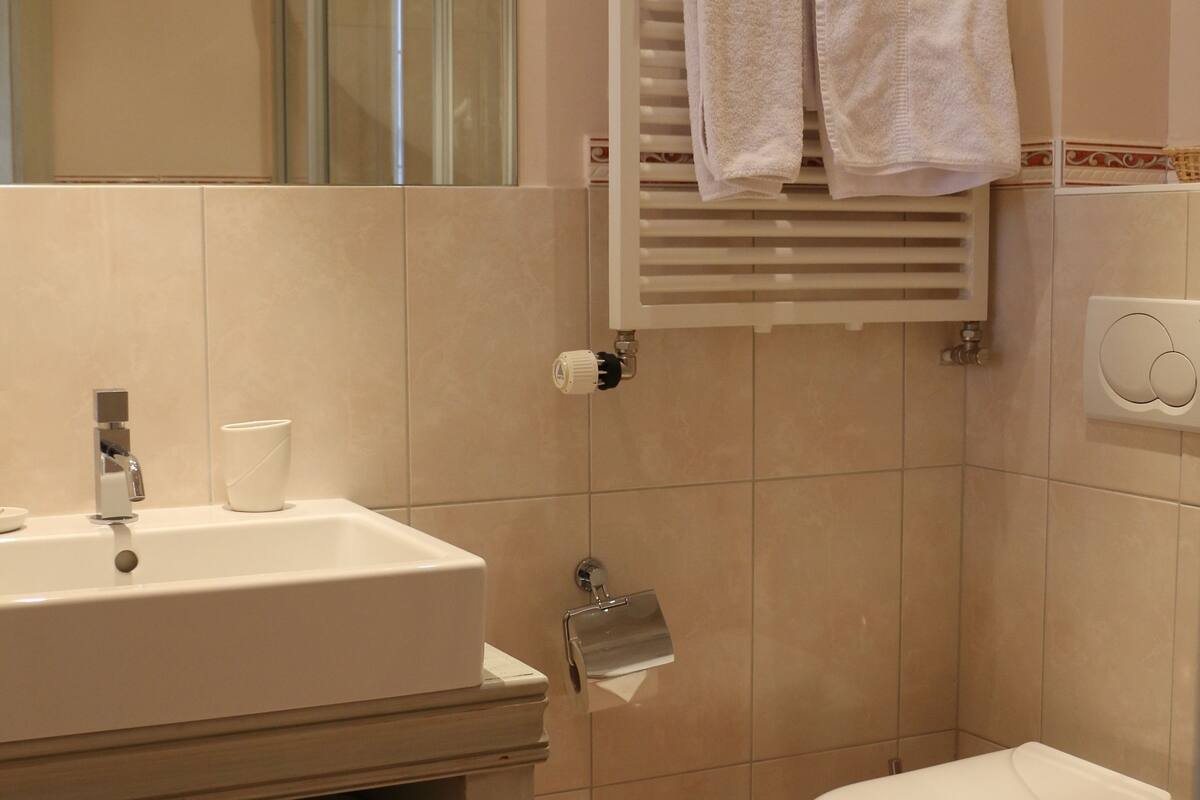 double or twin room, partial lake view | bathroom | shower, free toiletries, towels