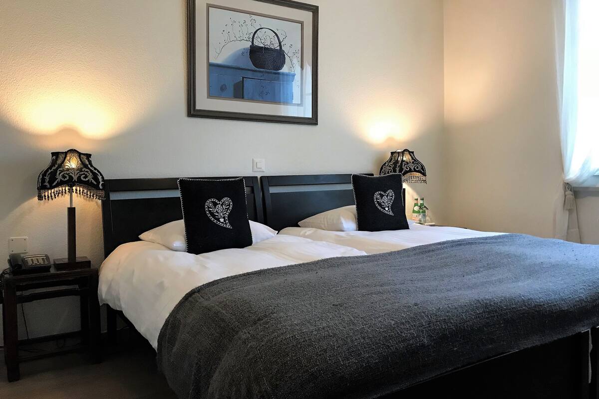 double or twin room, partial lake view | premium bedding, desk, blackout curtains, free wifi