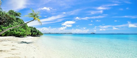 Playa en los alrededores