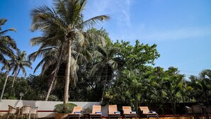 Un espace aménagé au bord de la piscine, avec des chaises longues et des palmiers.