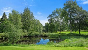 Ein ruhiger Park mit Teich, üppigem Grün und Bäumen.