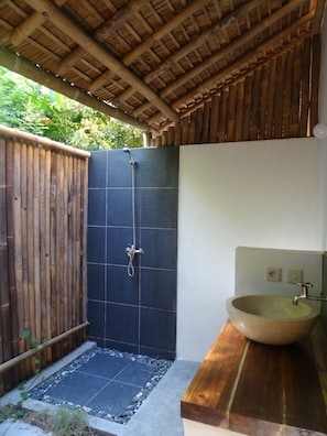 Shower, towels, toilet paper