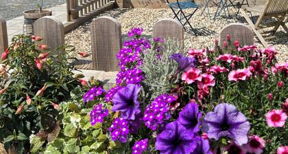 Muunnettu Vakaa itsepalvelumajoitukseen