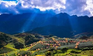 Surrounded by terraced fields and majestic mountains, this serene landscape offers breathtaking views.