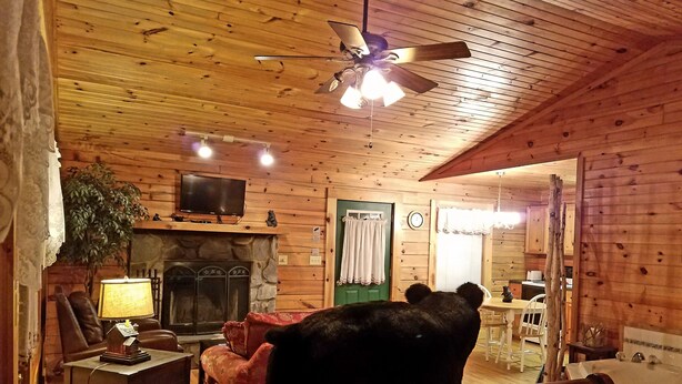 A cozy cabin interior with a fireplace, a television, a dining area, and a bedroom with a large bed.
