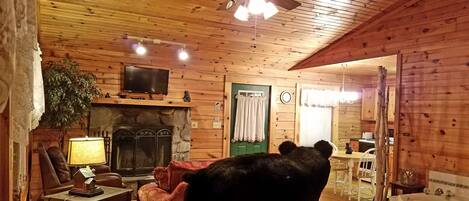 Een televisie en een open haard