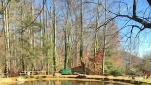A pond with ducks, surrounded by trees and a small building.
