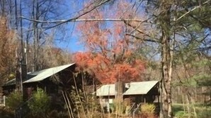 A rustic cabin with a metal roof, surrounded by trees and a small stream.