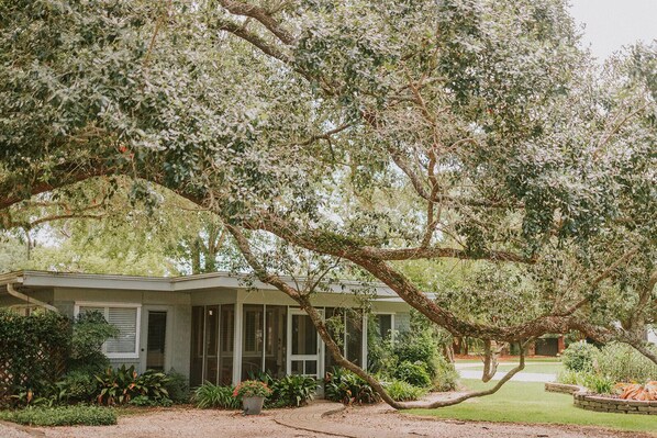 Una casa con porche, rodeada de exuberante follaje y un árbol grande.