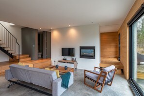 Smart TV, fireplace, DVD player, books