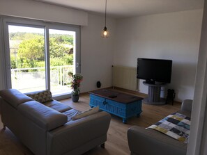 TV, DVD player, books