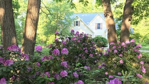 A house surrounded by trees and blooming rhododendrons. - Experience luxury at Riverwalk, a 4-bedroom retreat in serene Saugatuck, MI. (Saugatuck)