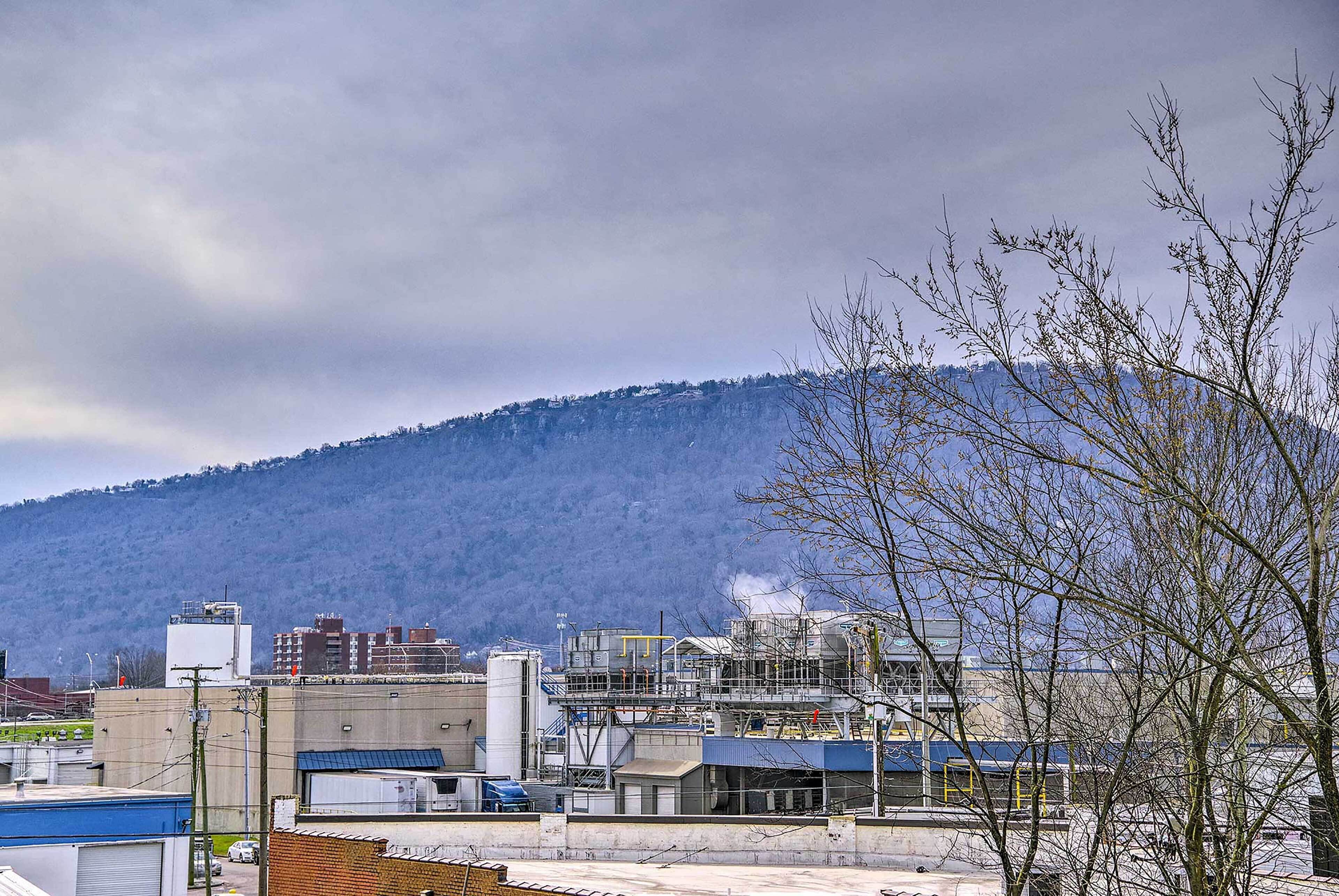 A view of a building with a flat roof and a chimney emitting smoke, surrounded by trees and a mountain in the background.