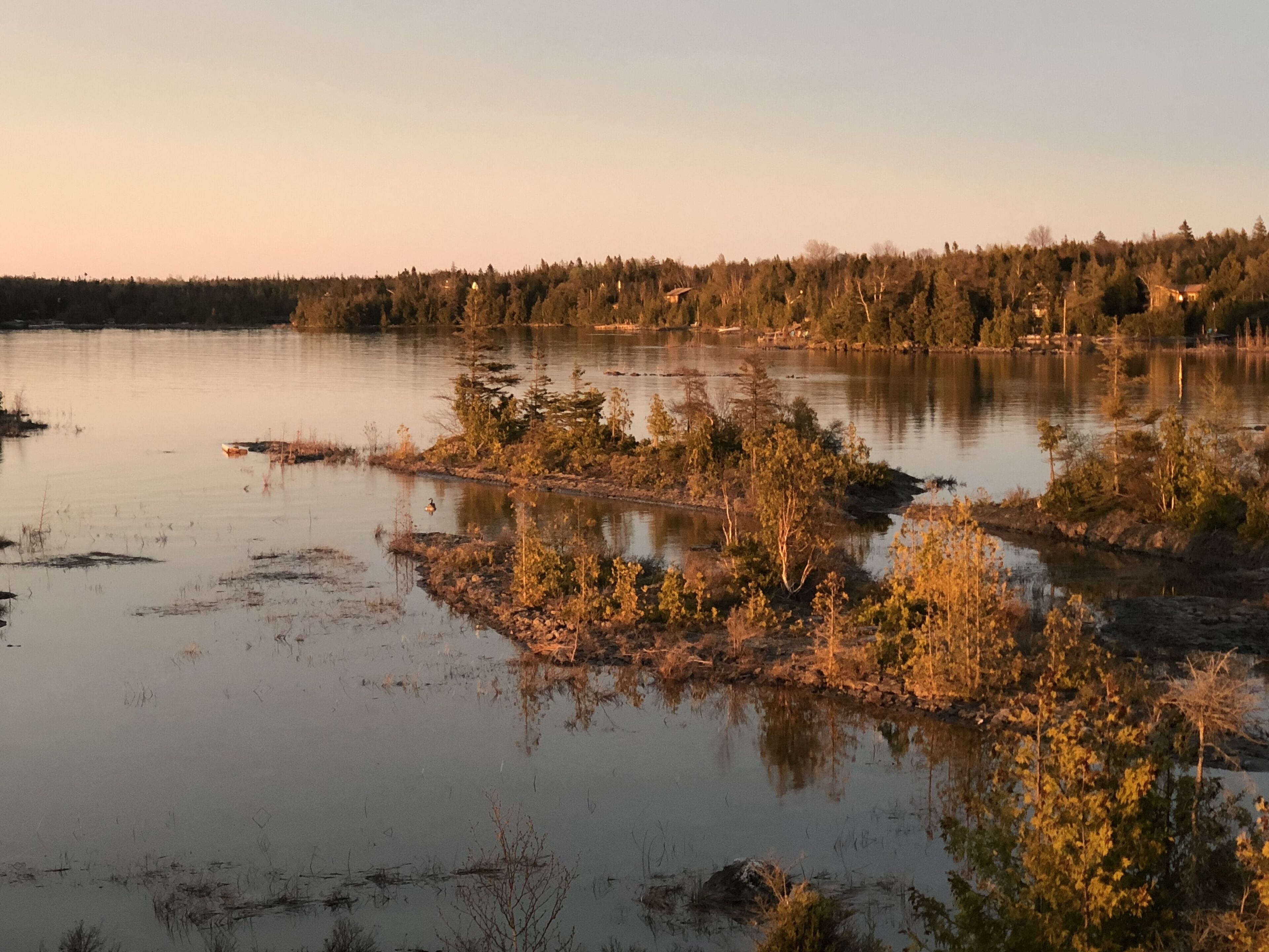 Tyyni järvi, jonka rannalla on metsää ja keskellä pieni saari, jossa kasvillisuus on niukkaa.