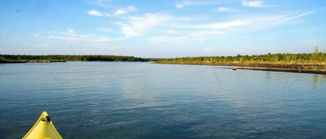 A kayak on a calm river with a forested shoreline.