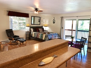 TV, DVD player, books, video library
