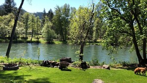 A lakeside view with a wooden deck, a dog, and a wheelbarrow with soil.