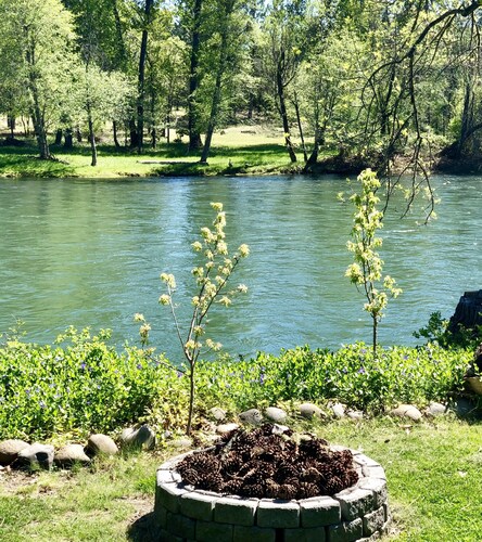 *Riverfront*  "Cabin on The Rogue",  Gateway to Crater Lake!  Sleeps 2-4