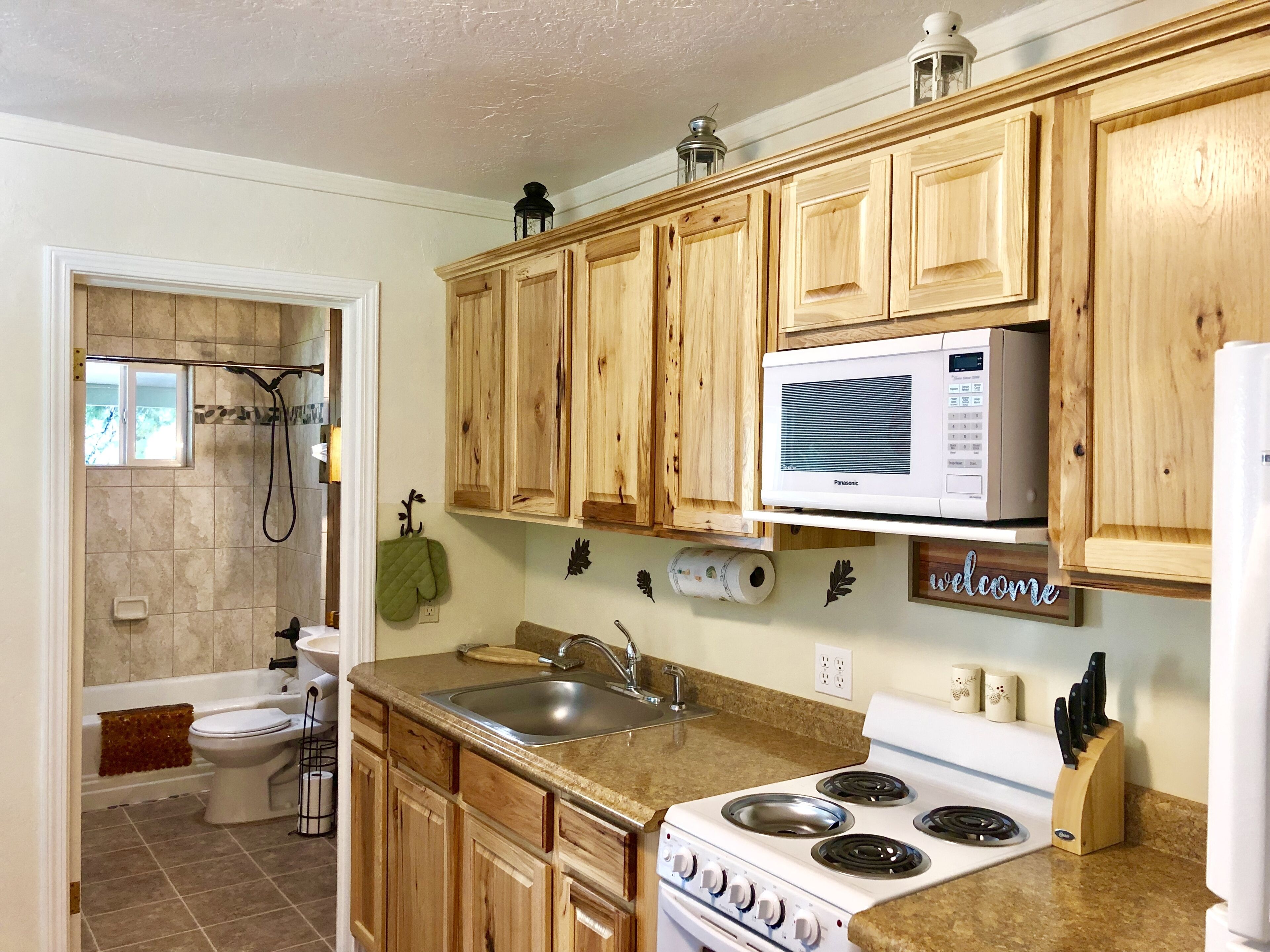 Frigorífico, microondas, horno y placa de cocina