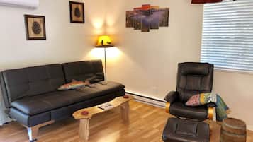 TV, DVD player, books, video library