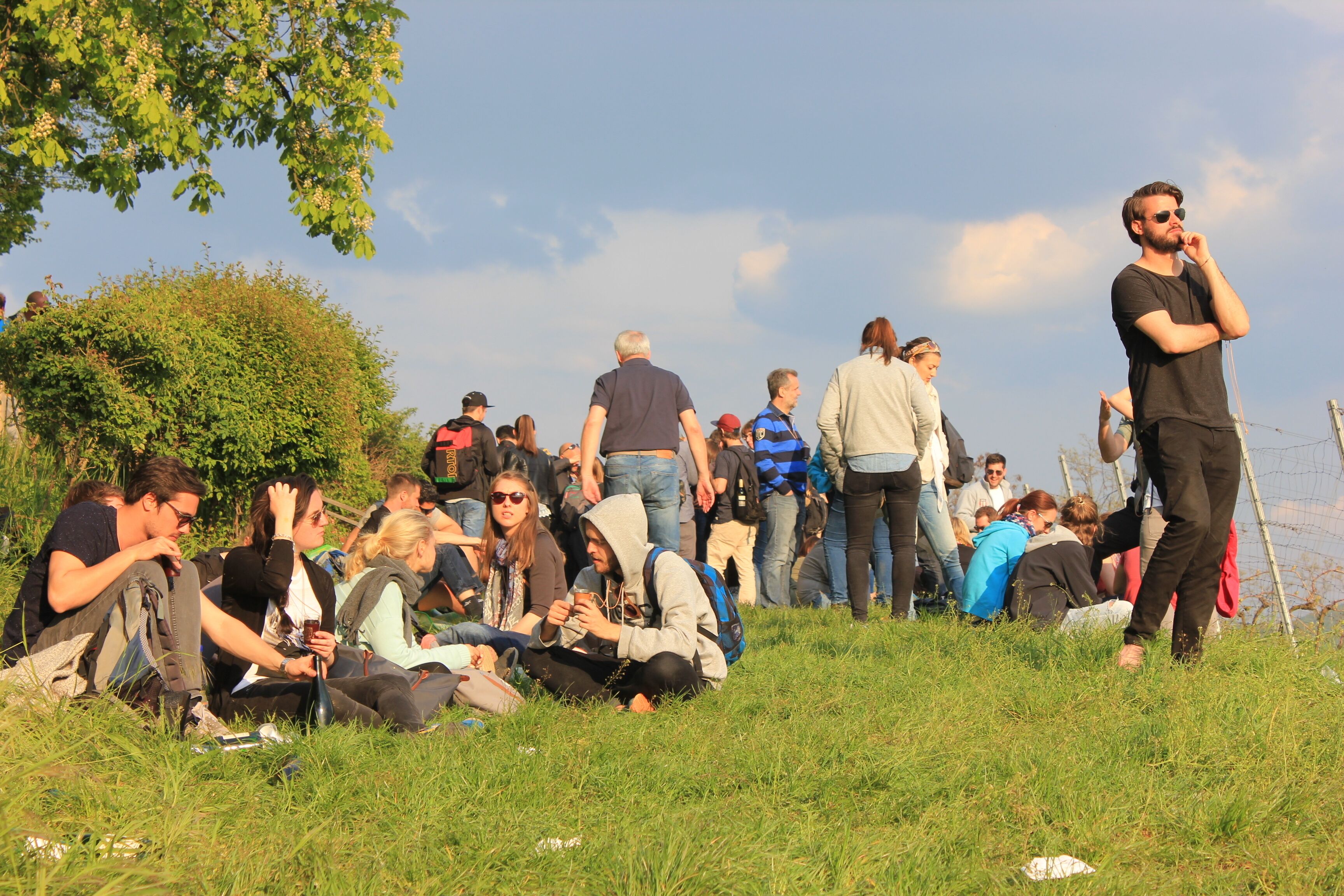 A group of people sitting and standing on a grassy field with trees and a fence in the background.