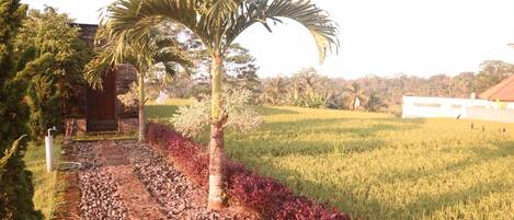 Overnattingsstedets uteområder