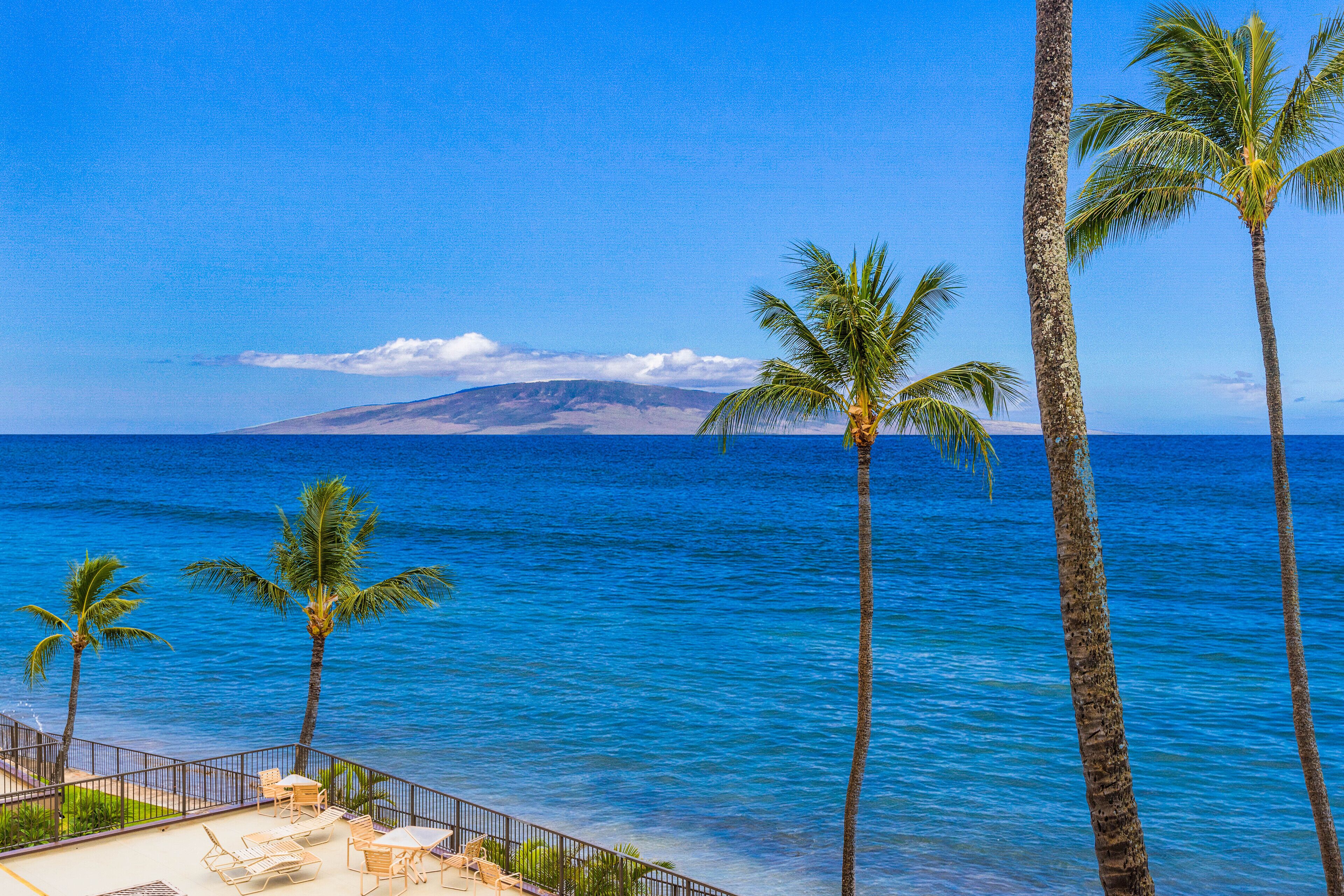 テラス / パティオ