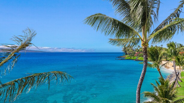 Een tropisch strand met helder turquoise water, palmbomen en een bergketen in de verte.