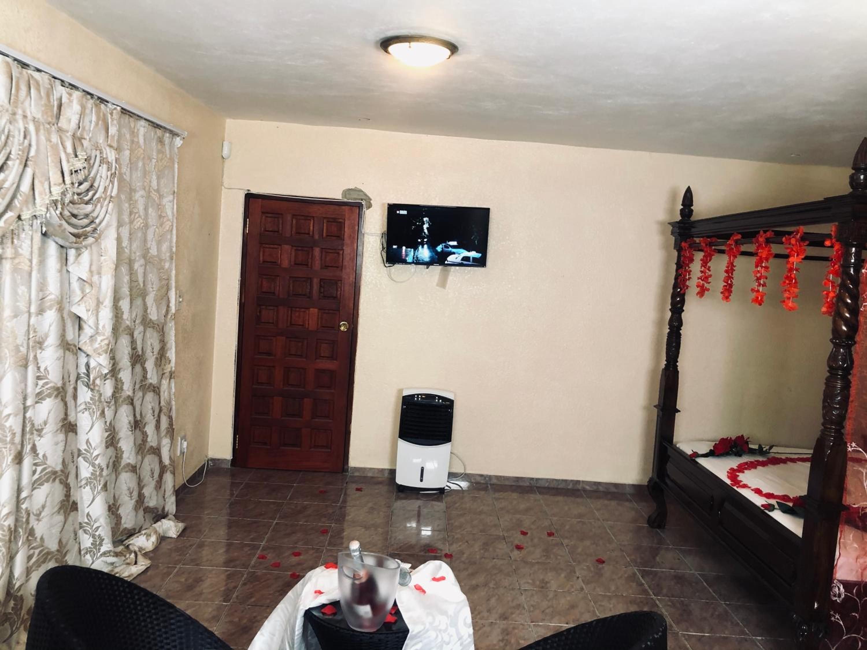 A room with a bed, a television, a heater, and a door.