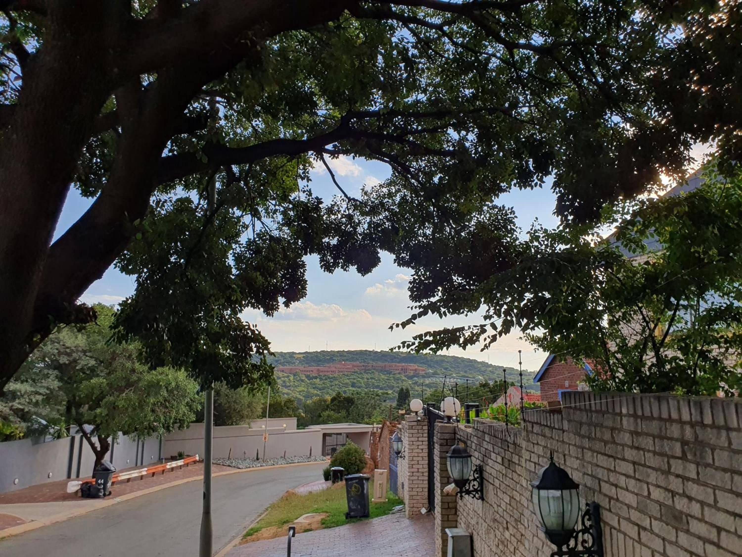 A residential street with a brick wall, a paved sidewalk, and a tree providing shade.