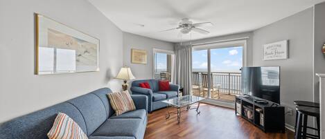 电视、DVD 播放器