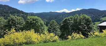 Single-storey apartment in a detached chalet