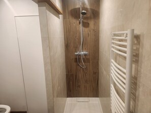 Chuveiro, secador de cabelo, toalhas de banho, papel higiênico