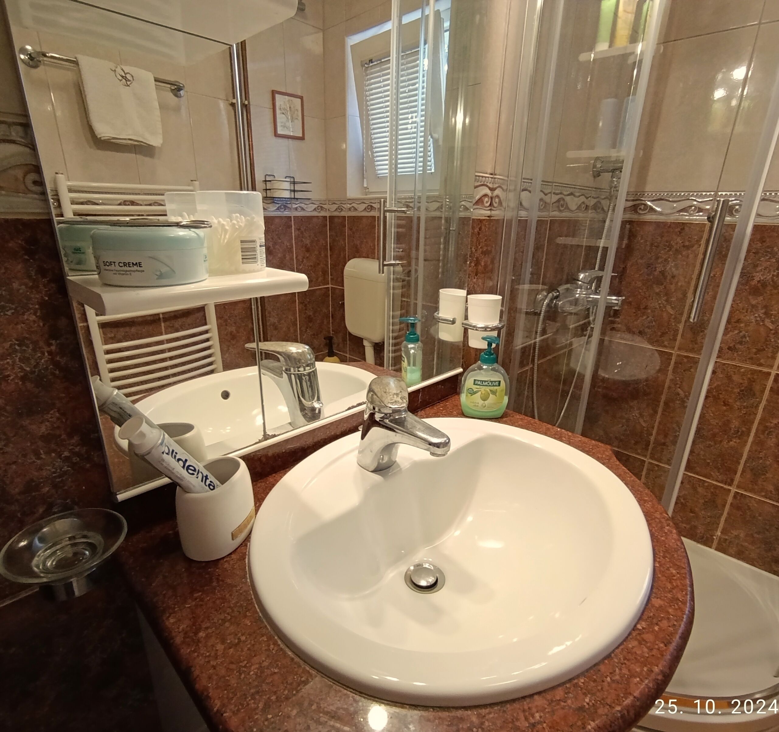 A bathroom with a white sink, a mirror, a shower enclosure, and toiletries on a shelf.