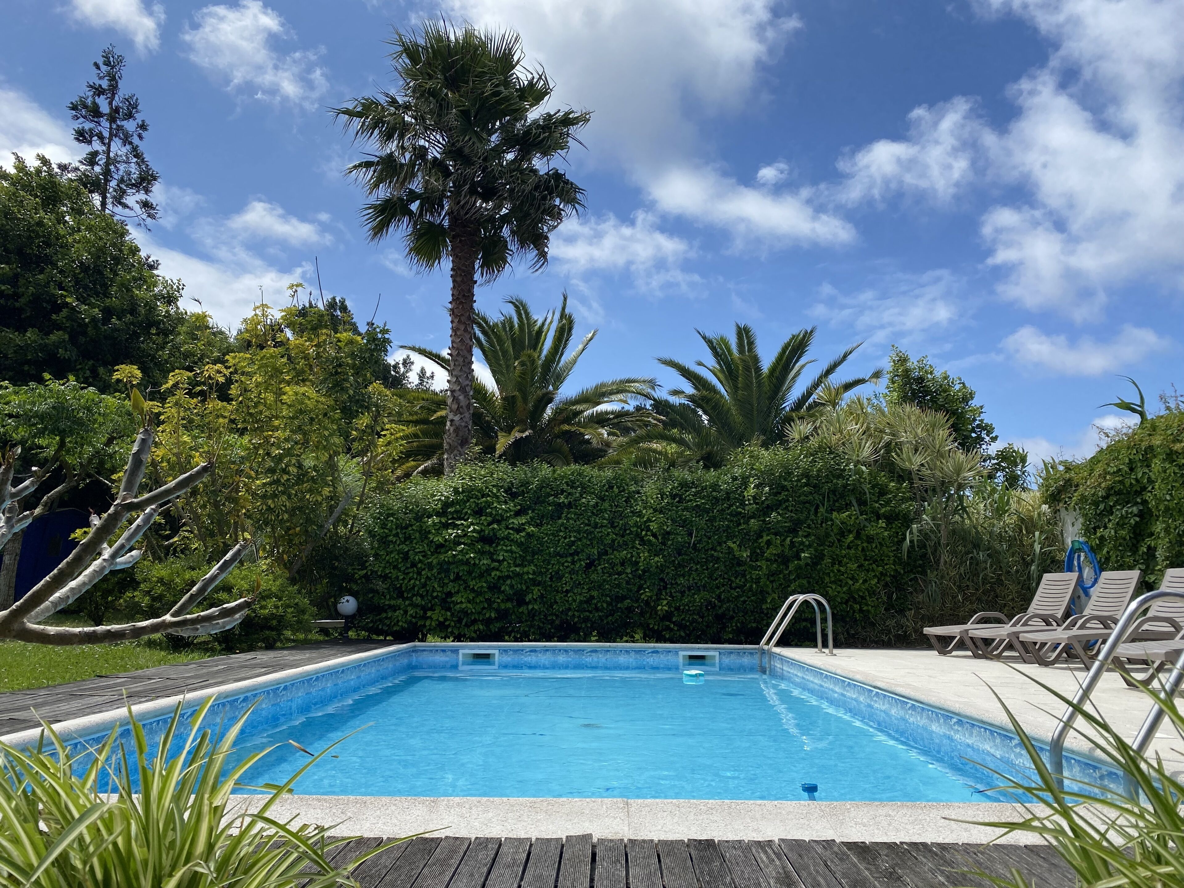 Outdoor pool, open 10:00 AM to 8:00 PM, pool loungers
