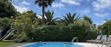 Outdoor pool, open 10:00 AM to 8:00 PM, pool loungers
