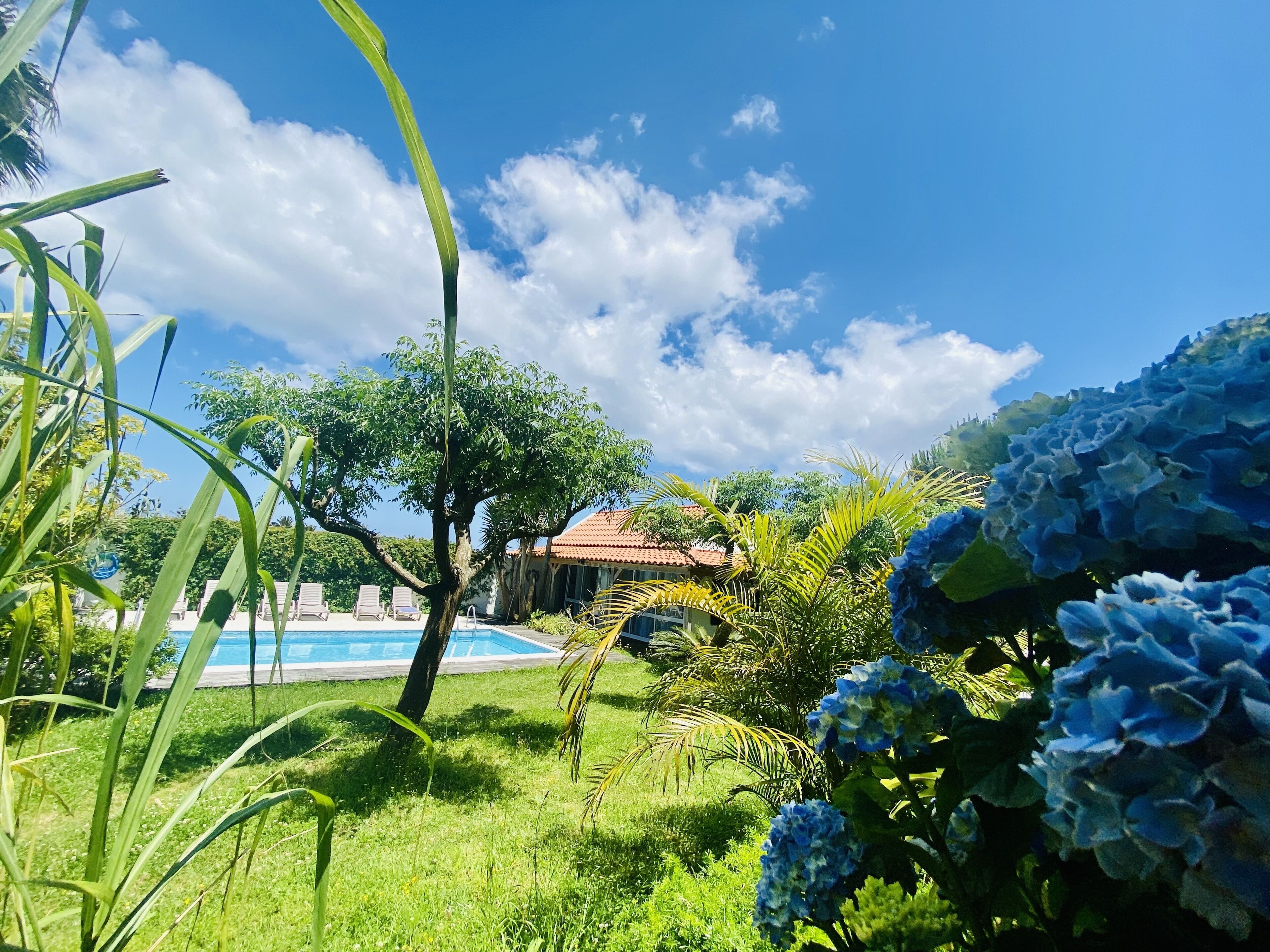 Outdoor pool, open 10:00 AM to 8:00 PM, pool loungers