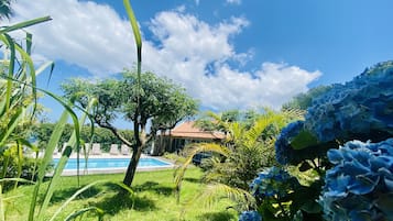 Outdoor pool, open 10:00 AM to 8:00 PM, pool loungers