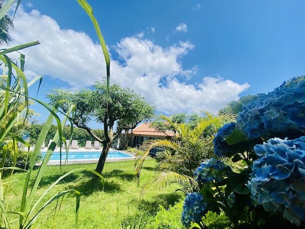 Outdoor pool, open 10:00 AM to 8:00 PM, pool loungers