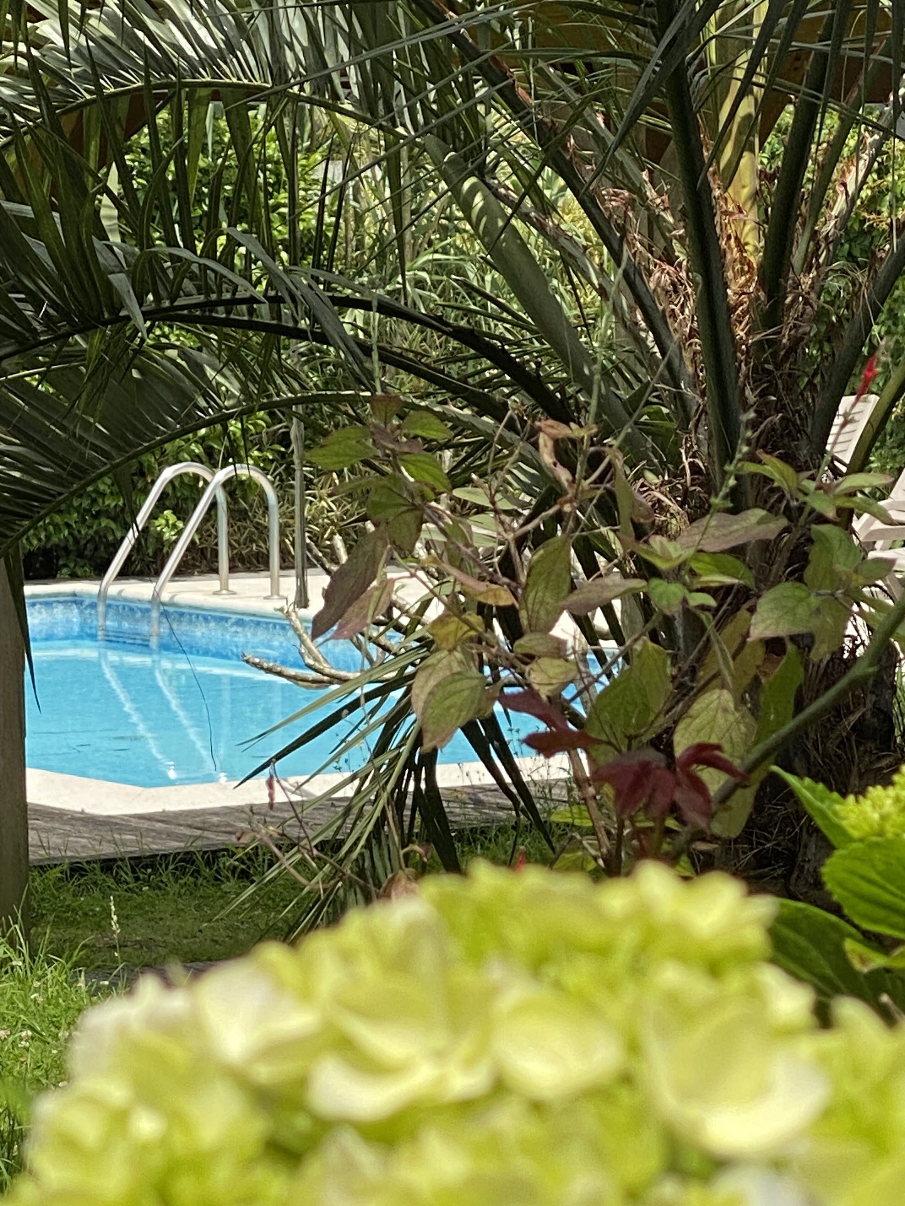 Kolam renang