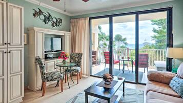 TV, DVD player, books, video library