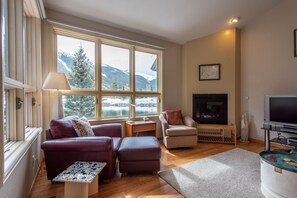 TV, fireplace, computer monitors