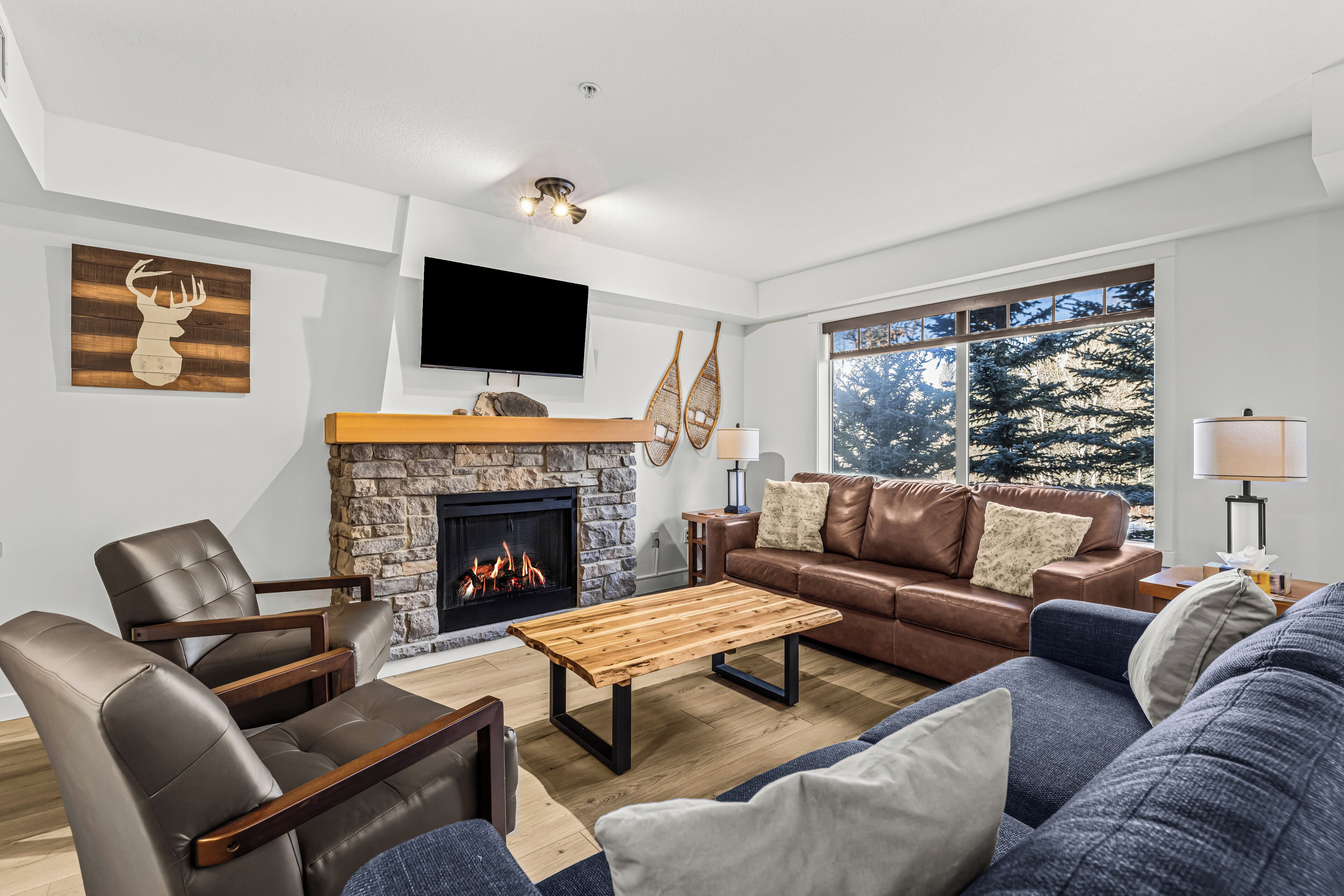 TV, fireplace, offices