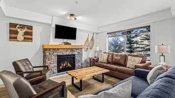 Televisor, llar de foc i oficines