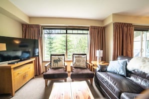 TV, fireplace, offices
