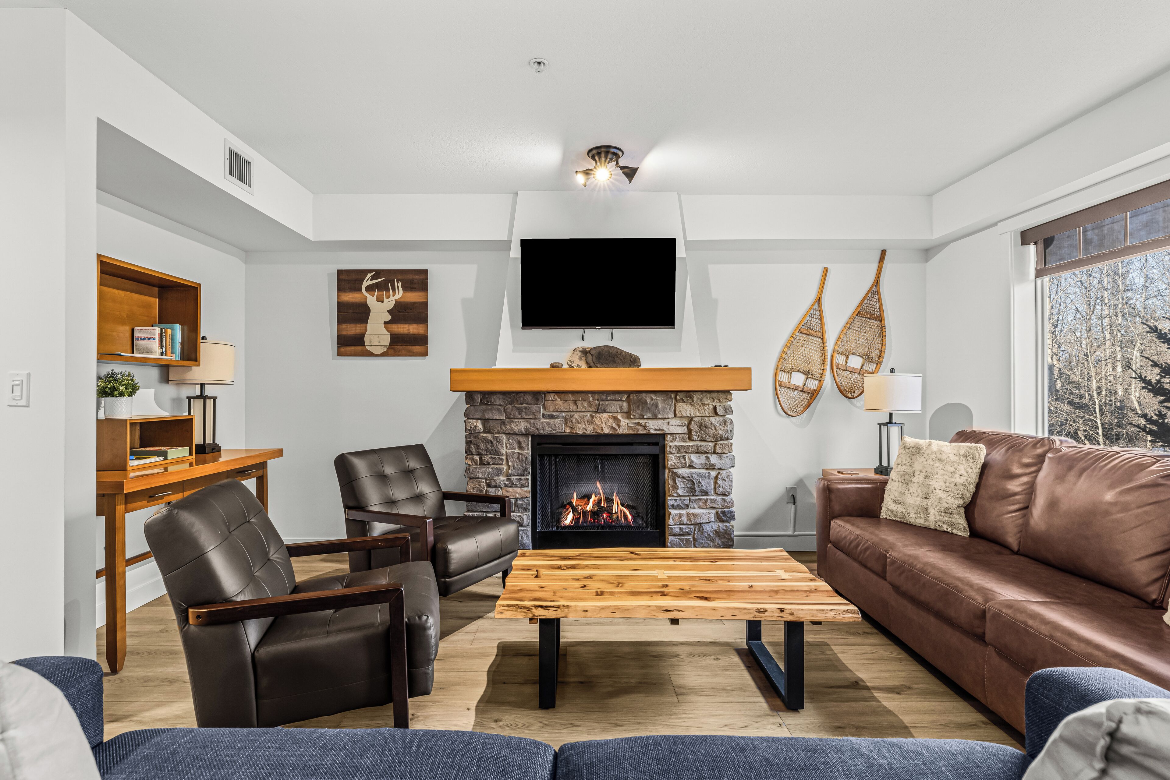 TV, fireplace, offices